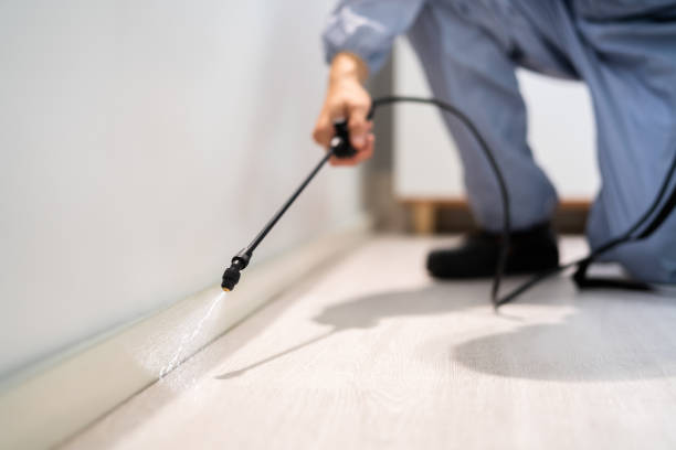 Licensed Termite Control service in Seminole Manor, FL - Nex Pest Control