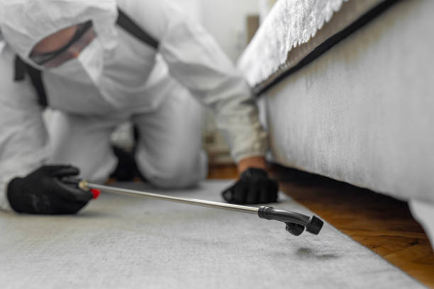 Professional Termite Control technician working in Seminole Manor, FL