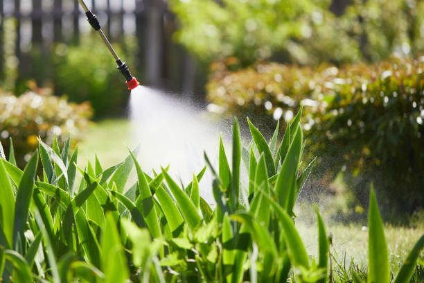 24/7 Emergency Termite Control experts in Seminole Manor, FL
