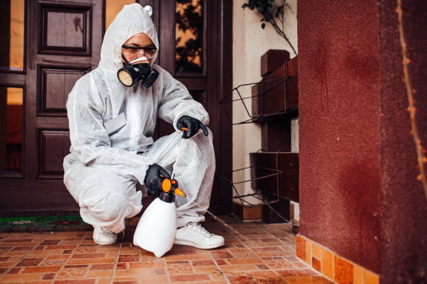 Reliable Termite Control contractor in Seminole Manor, FL by Nex Pest Control